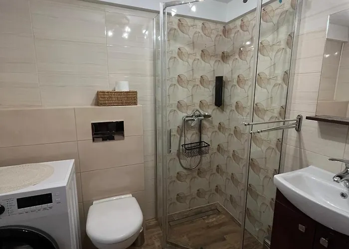 Apartment Nad Potokiem U Doroty Zawoja